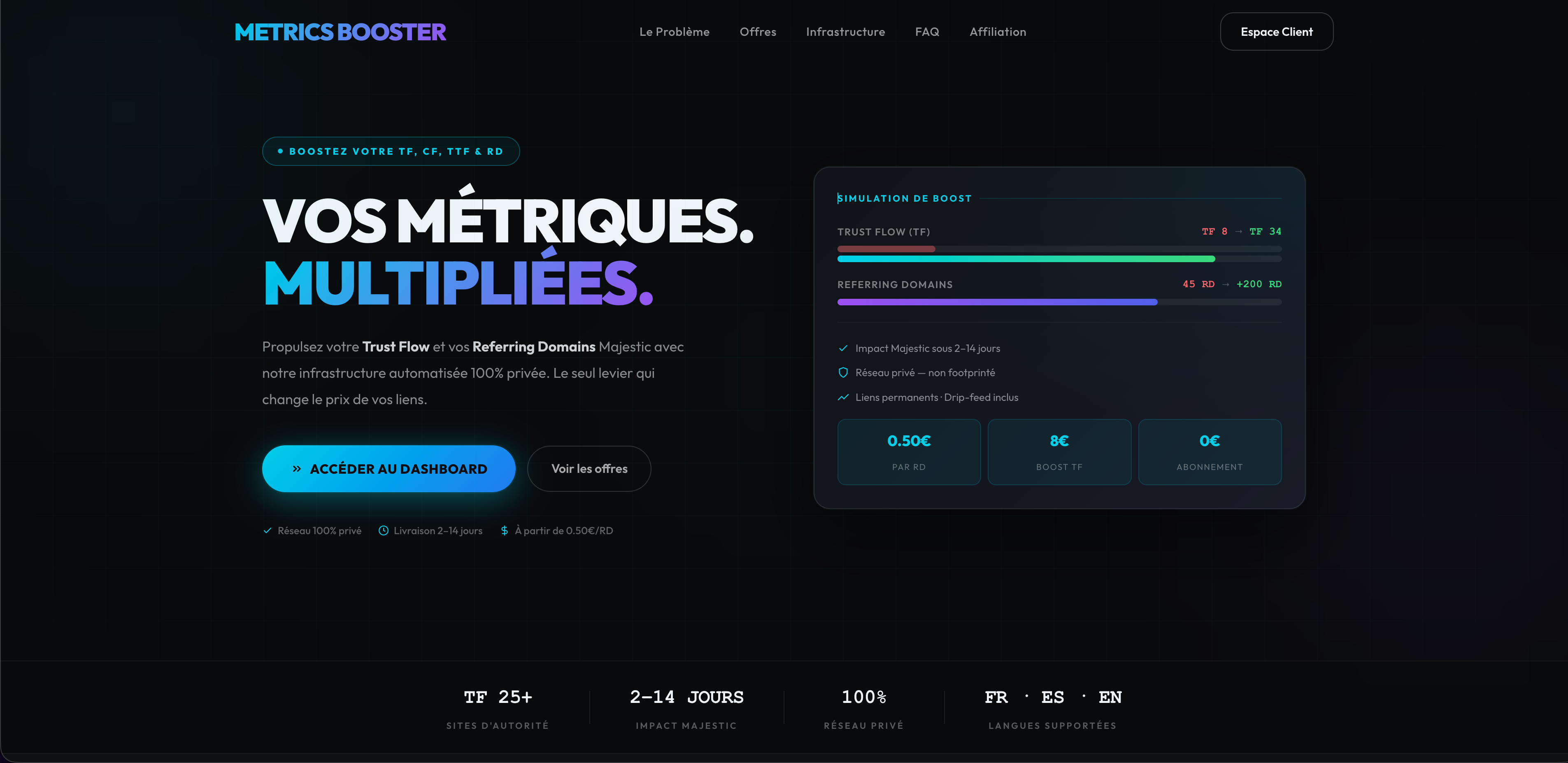 Capture du site officiel MetricsBooster — service de boost Trust Flow et Referring Domains Majestic